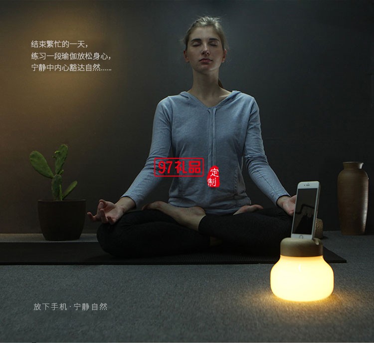 蘑菇燈 iPhone手機(jī)移動(dòng)電源 臺燈 迷你便攜小夜燈
