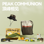 頂峰相見 