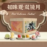 雙鏡月